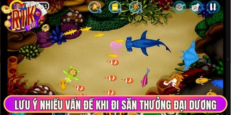 Lưu ý nhiều vấn đề khi đi săn thưởng đại dương