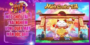 Mèo Chiêu Tài - Trải Nghiệm Vòng Quay May Mắn Độc Đáo