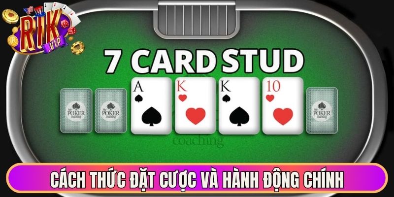 Cách thức đặt cược và hành động chính
