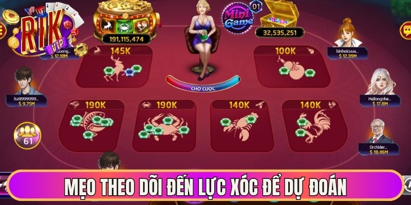 Mẹo theo dõi đến lực xóc để dự đoán